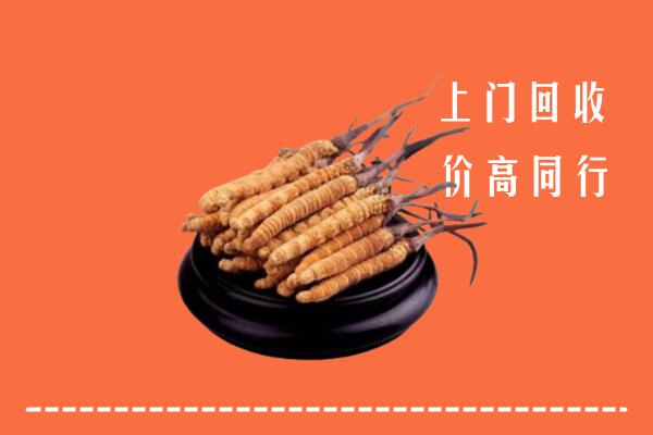 高价求购：桂林市平乐回收散虫草