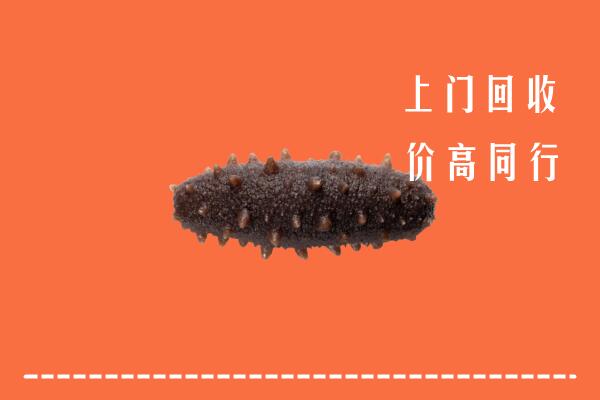 高价求购：桂林市平乐回收海参