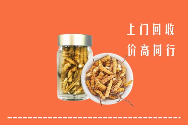 桂林市平乐高价回收冬虫夏草